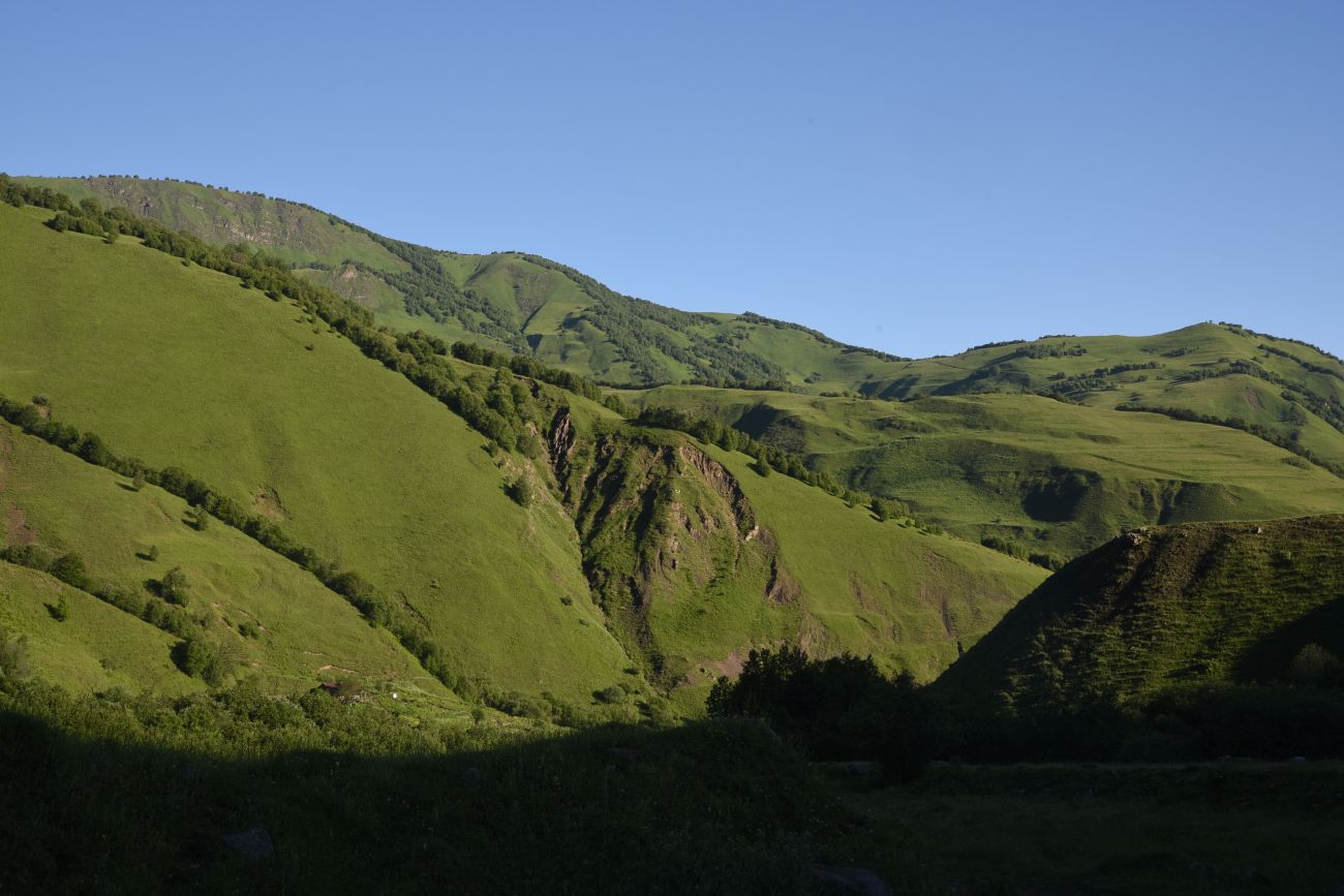 Селение Чайры и окрестности, image of landscape/habitat.