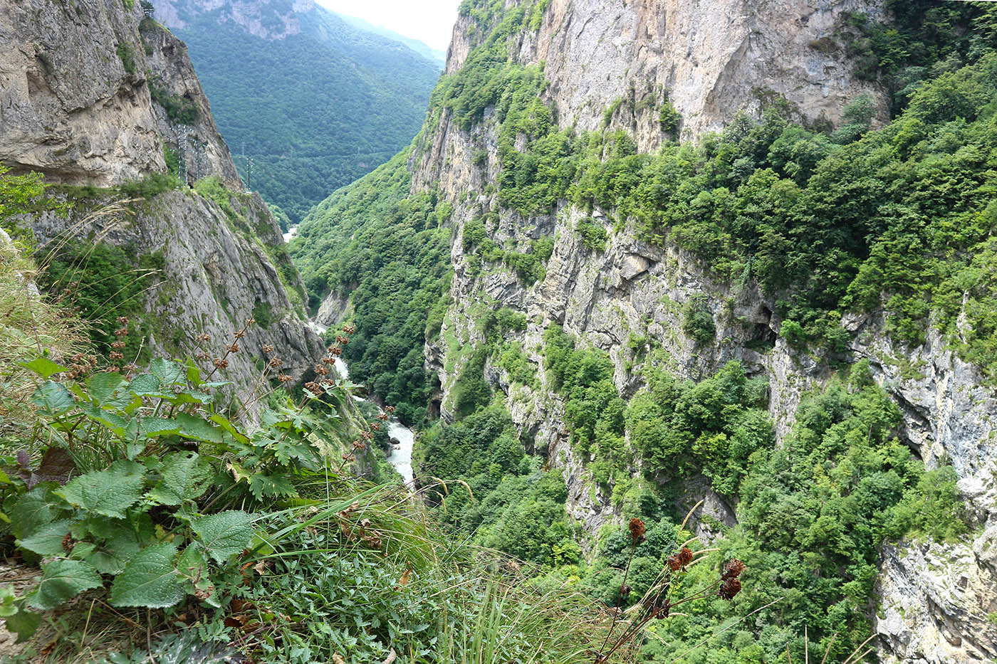 Черекская теснина, image of landscape/habitat.