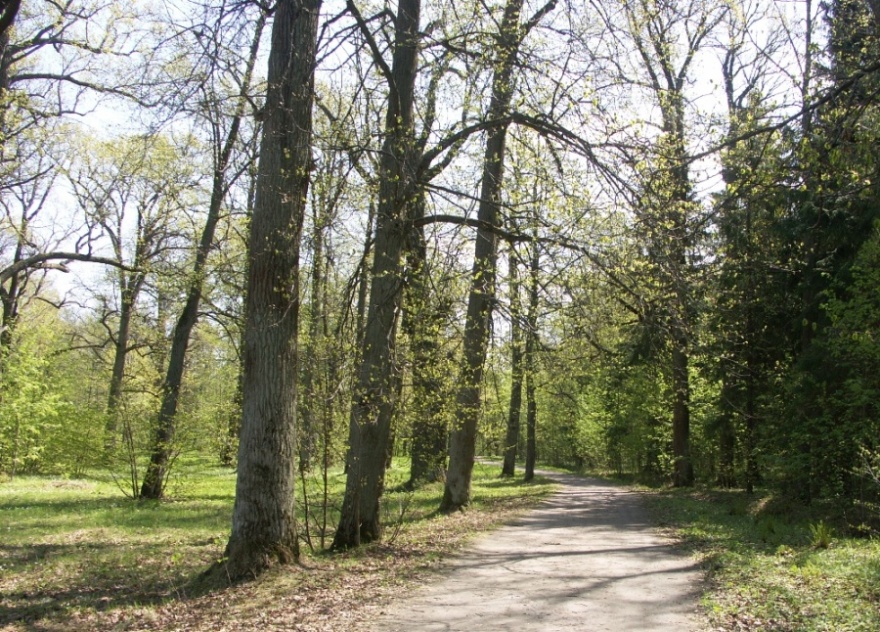 Парк "Сергиевка", image of landscape/habitat.