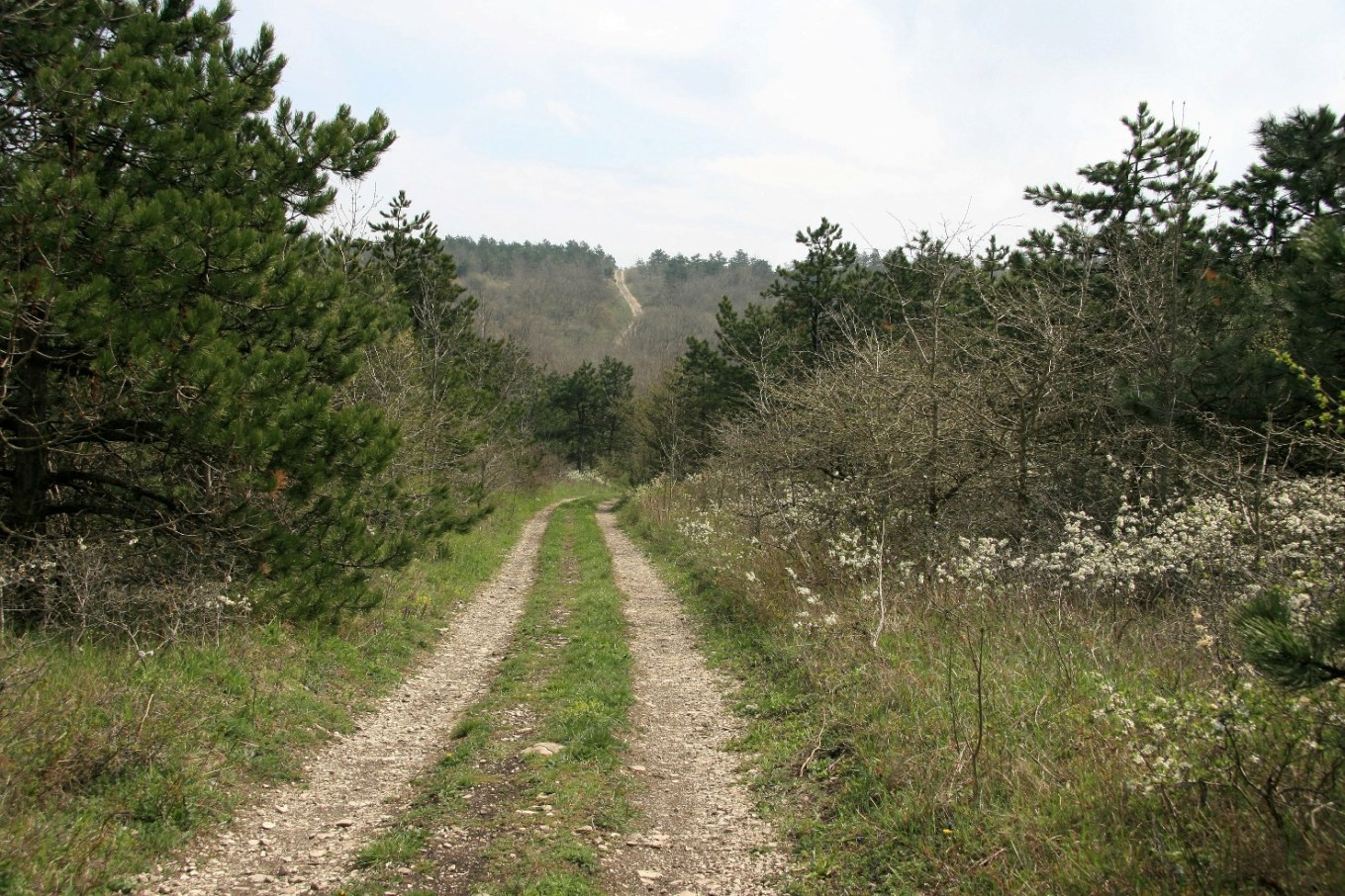 Хребет Атакай, image of landscape/habitat.