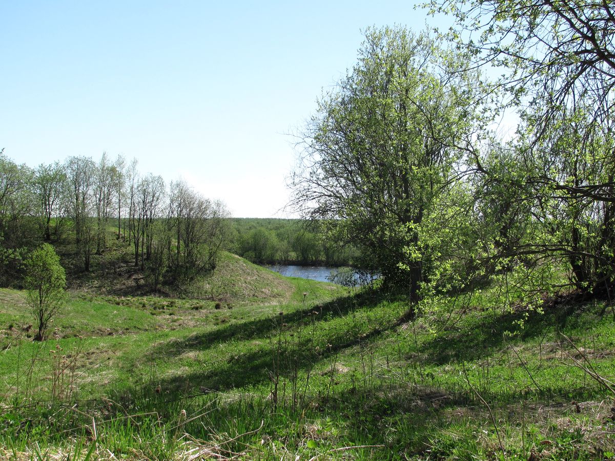 Южные окрестности Архангельска, image of landscape/habitat.