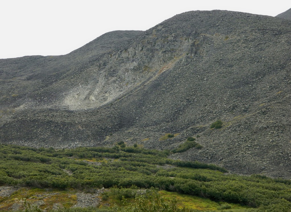 Большой Ханмей, image of landscape/habitat.