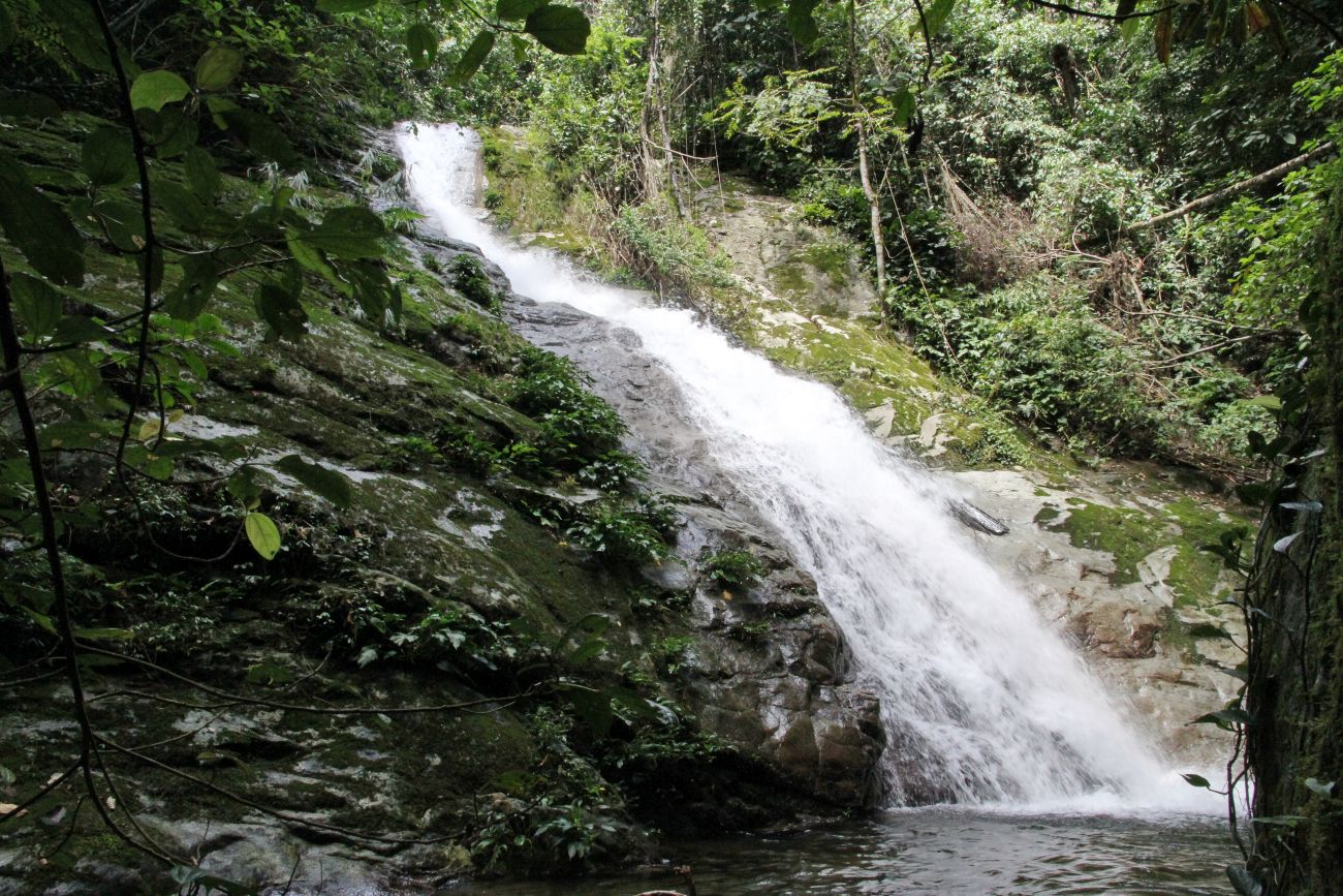 Окрестности лагеря "Lupa Masa", image of landscape/habitat.