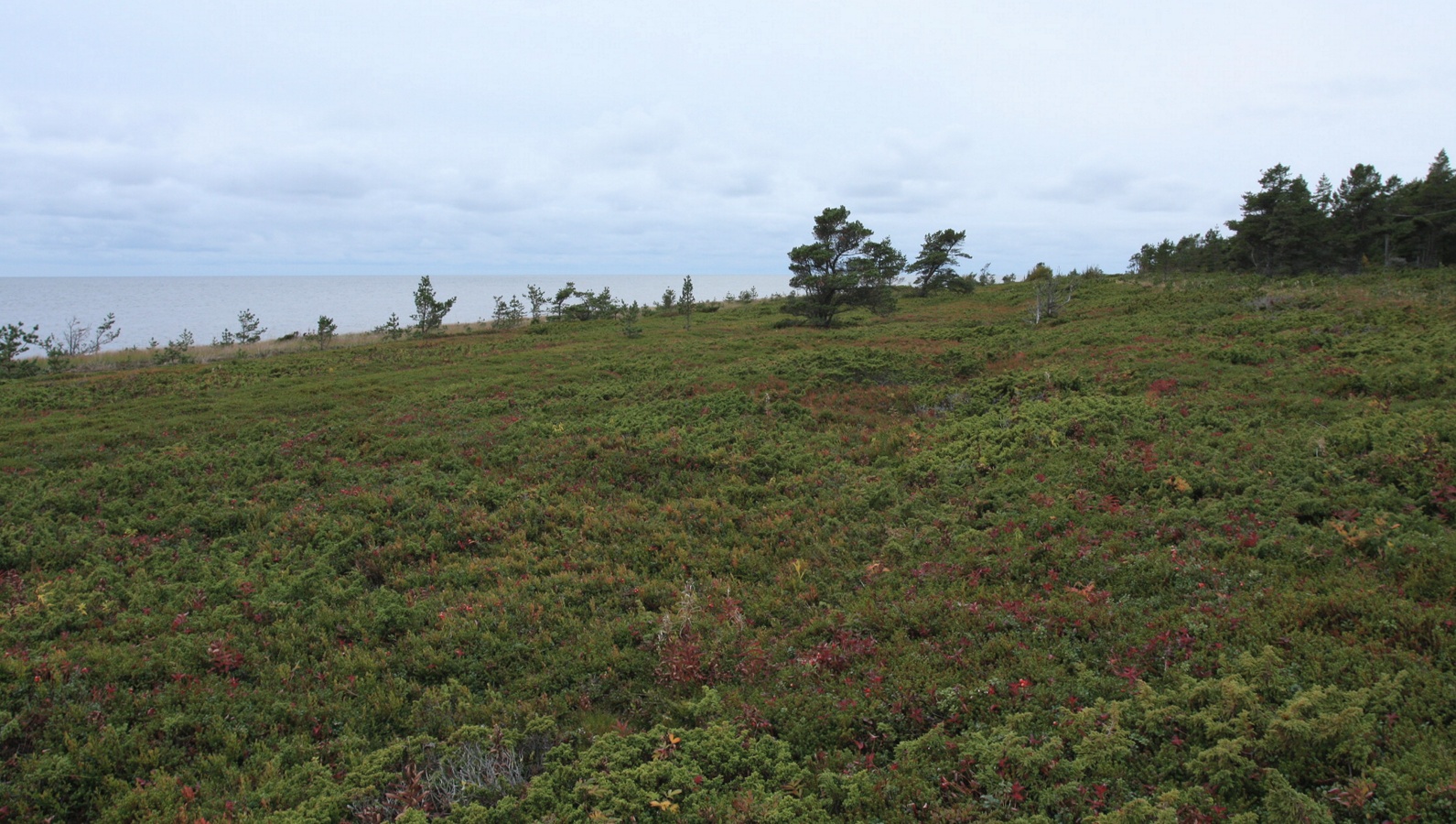 Часовня безымянного инока, image of landscape/habitat.