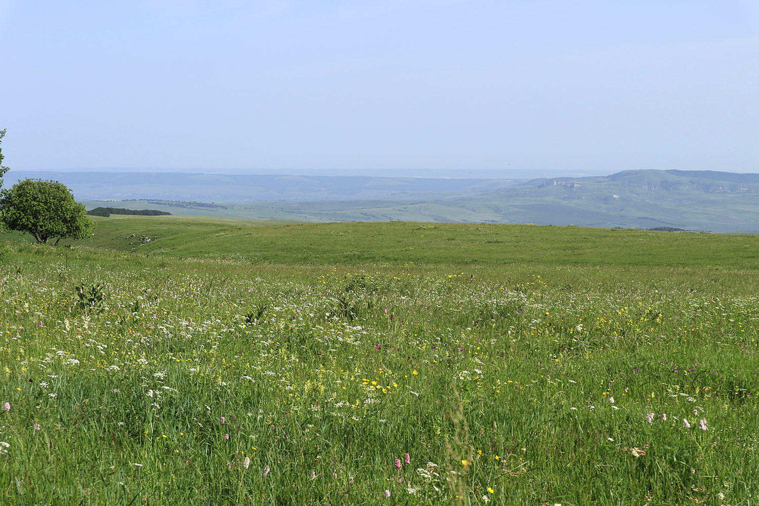 Джисса, image of landscape/habitat.