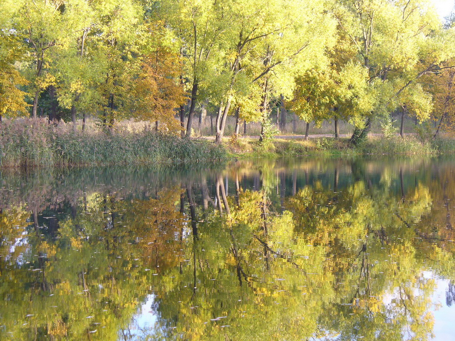 Петропавловский парк, image of landscape/habitat.
