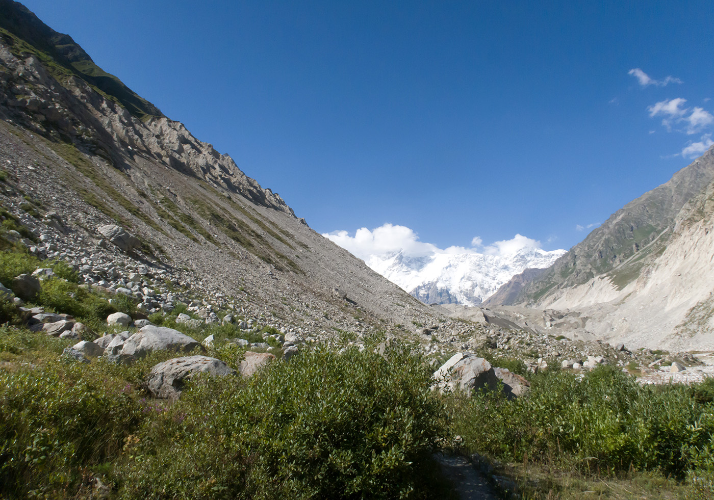 Черек-Безенгийское ущелье, image of landscape/habitat.