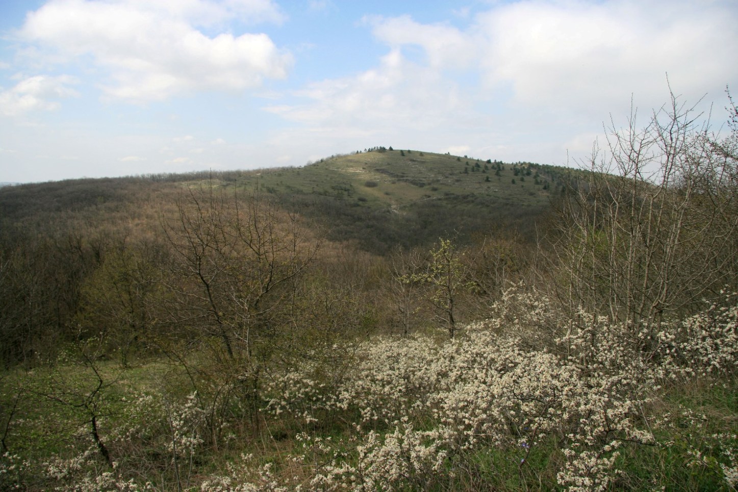 Хребет Атакай, image of landscape/habitat.