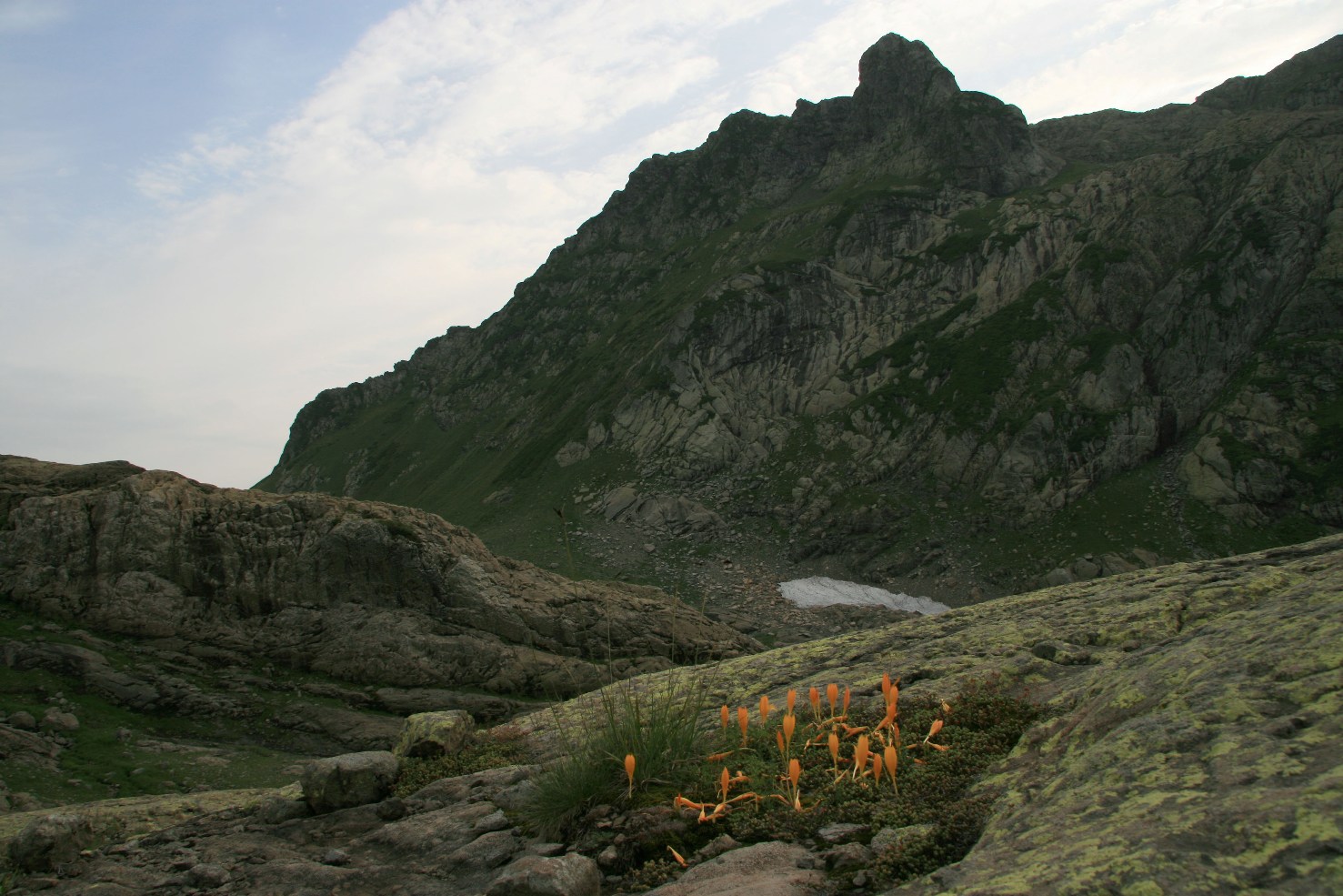 Чедымский хребет, image of landscape/habitat.