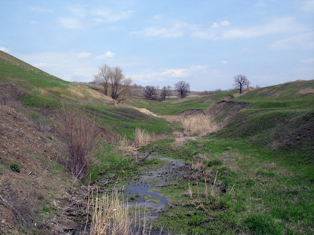 Кировск и окрестности, изображение ландшафта.