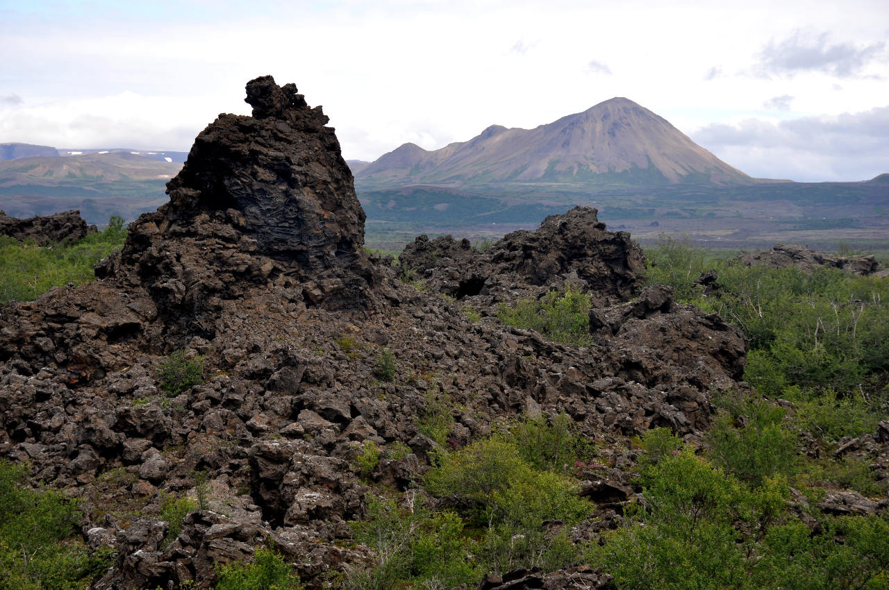 Окрестности озера Миватн, image of landscape/habitat.