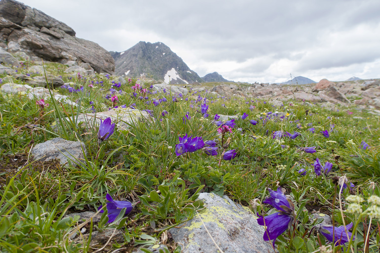 Верховья Имеретинки, image of landscape/habitat.