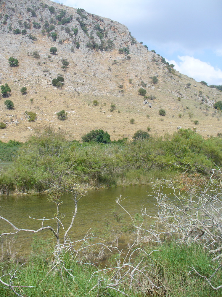 Окрестности Георгиуполиса, изображение ландшафта.