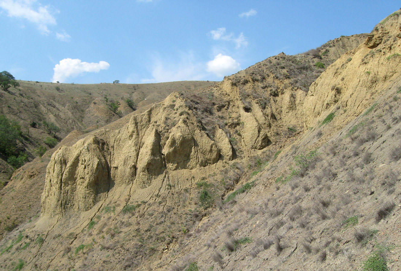 Лисья бухта, image of landscape/habitat.