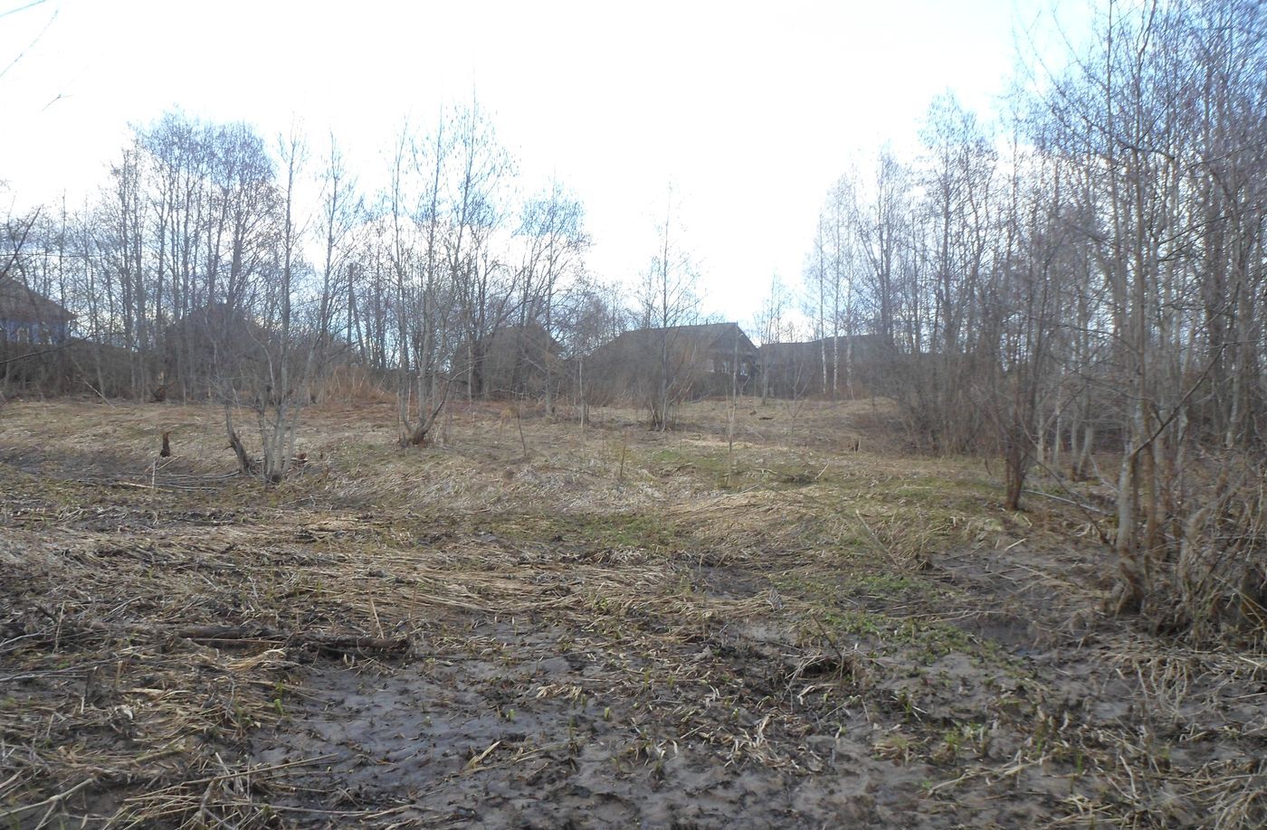 Чистая Дуброва, image of landscape/habitat.