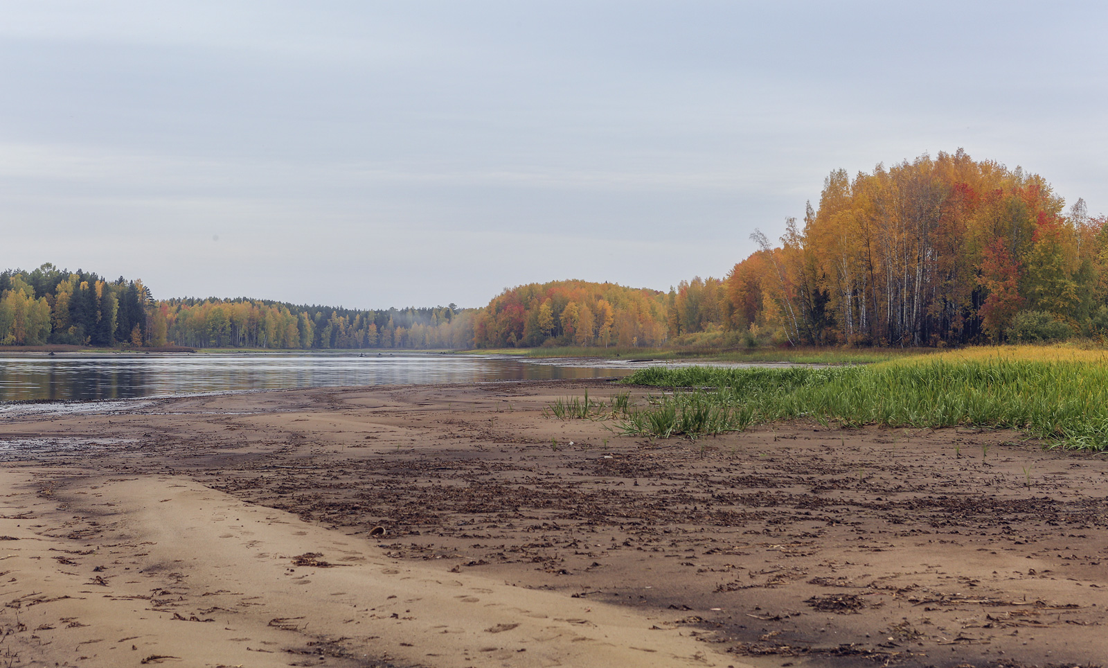 Кунчурихинский бор, image of landscape/habitat.