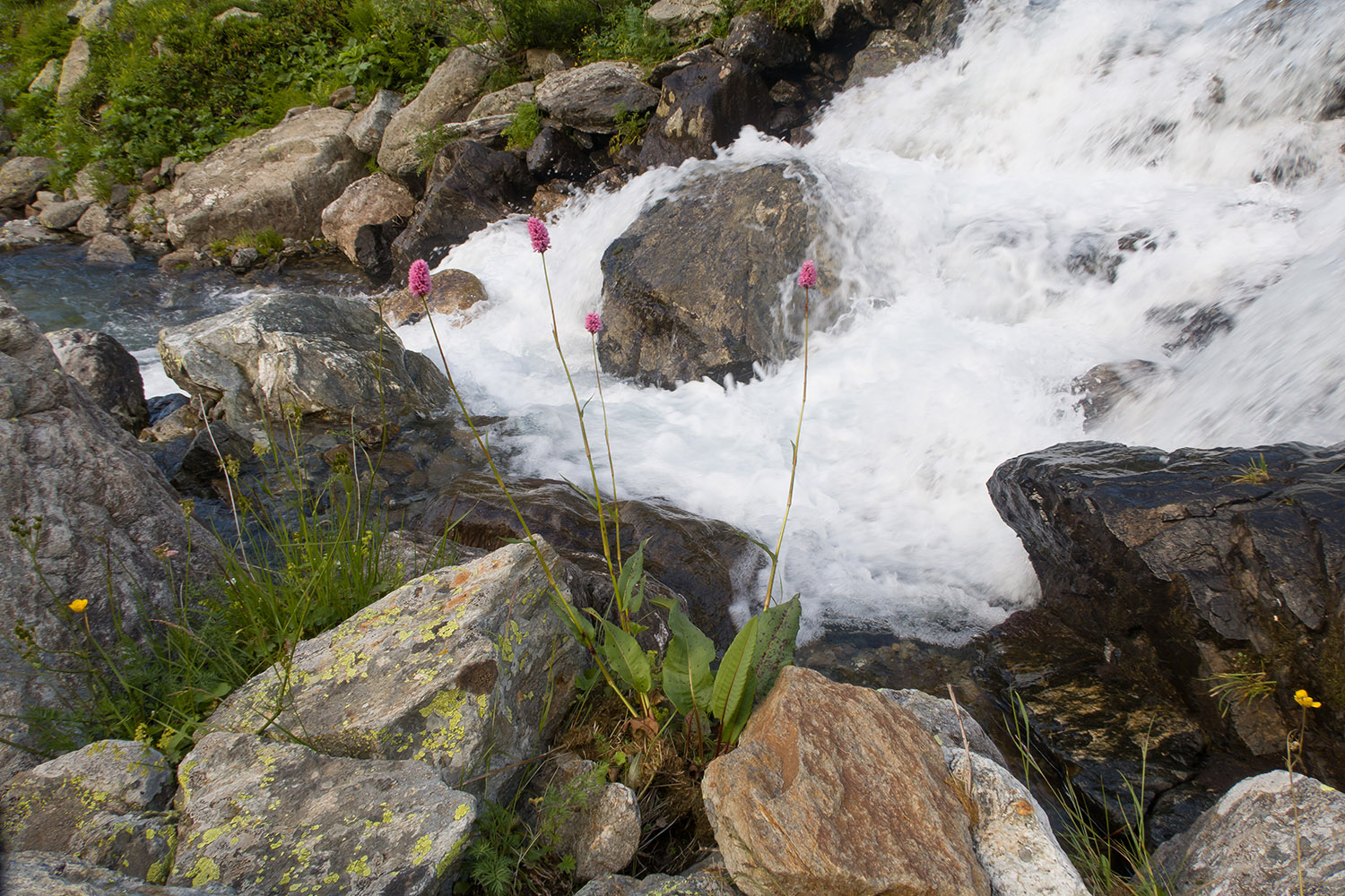 Верхний Имеретинский водопад, image of landscape/habitat.