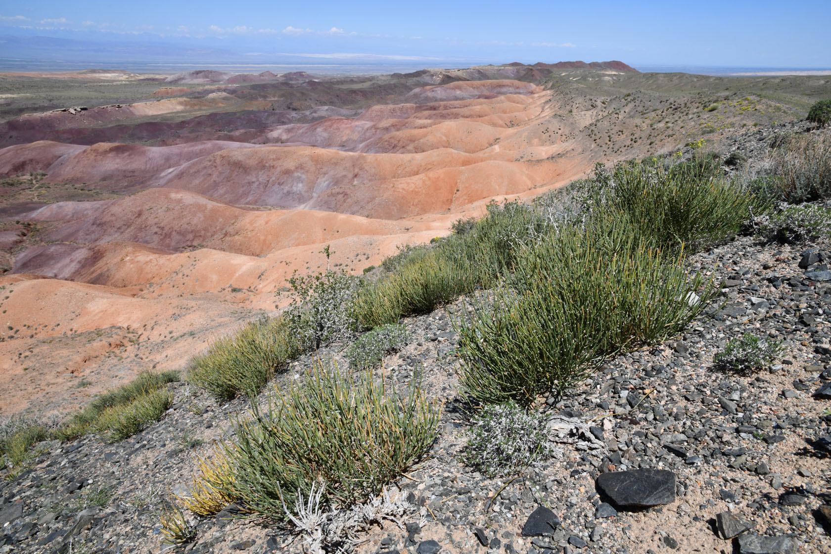 Горы Улькен-Богуты, image of landscape/habitat.