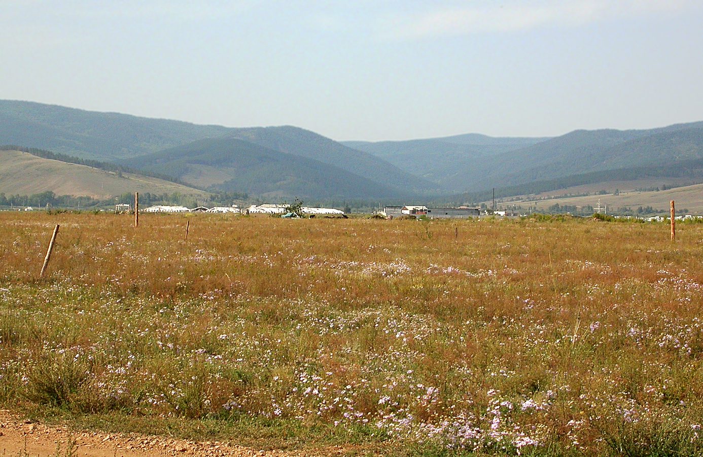 Окрестности Гурульбы, image of landscape/habitat.