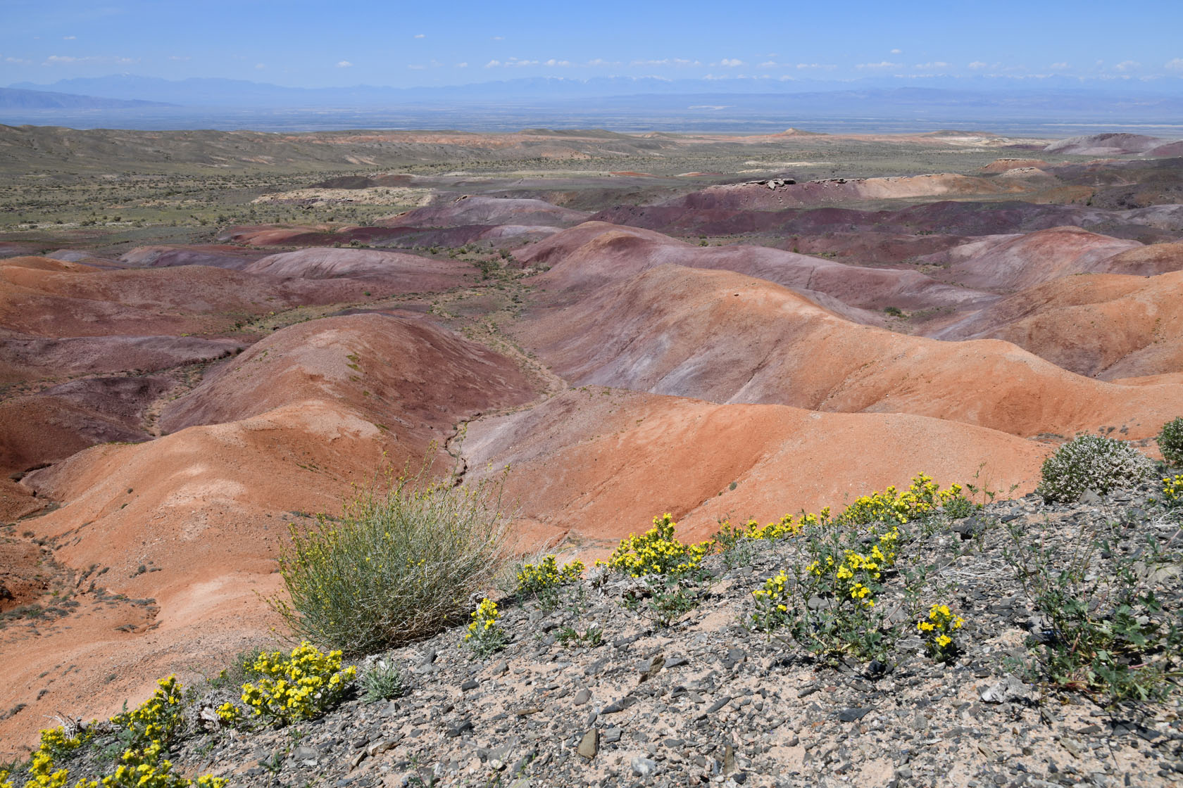 Горы Улькен-Богуты, image of landscape/habitat.