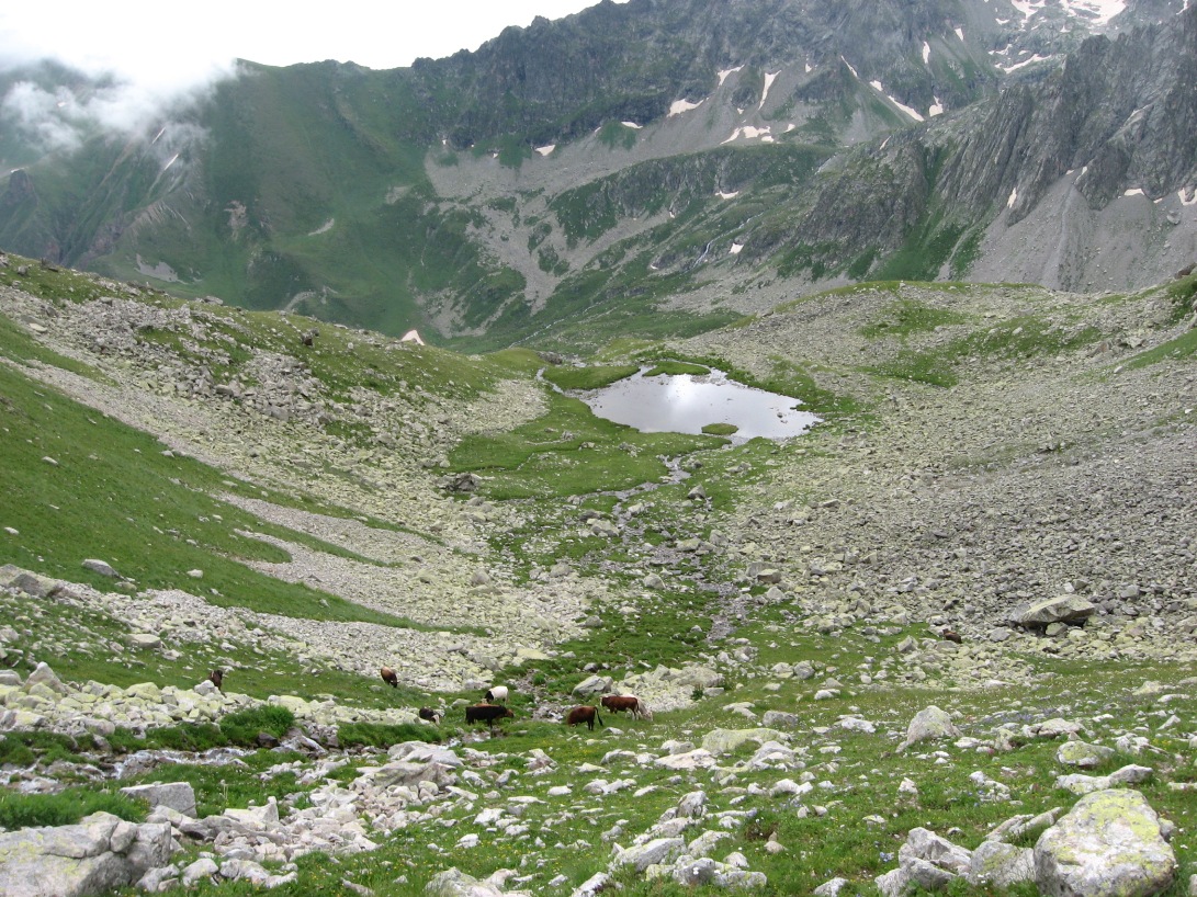 Ущелье реки Азгек, западны исток, image of landscape/habitat.