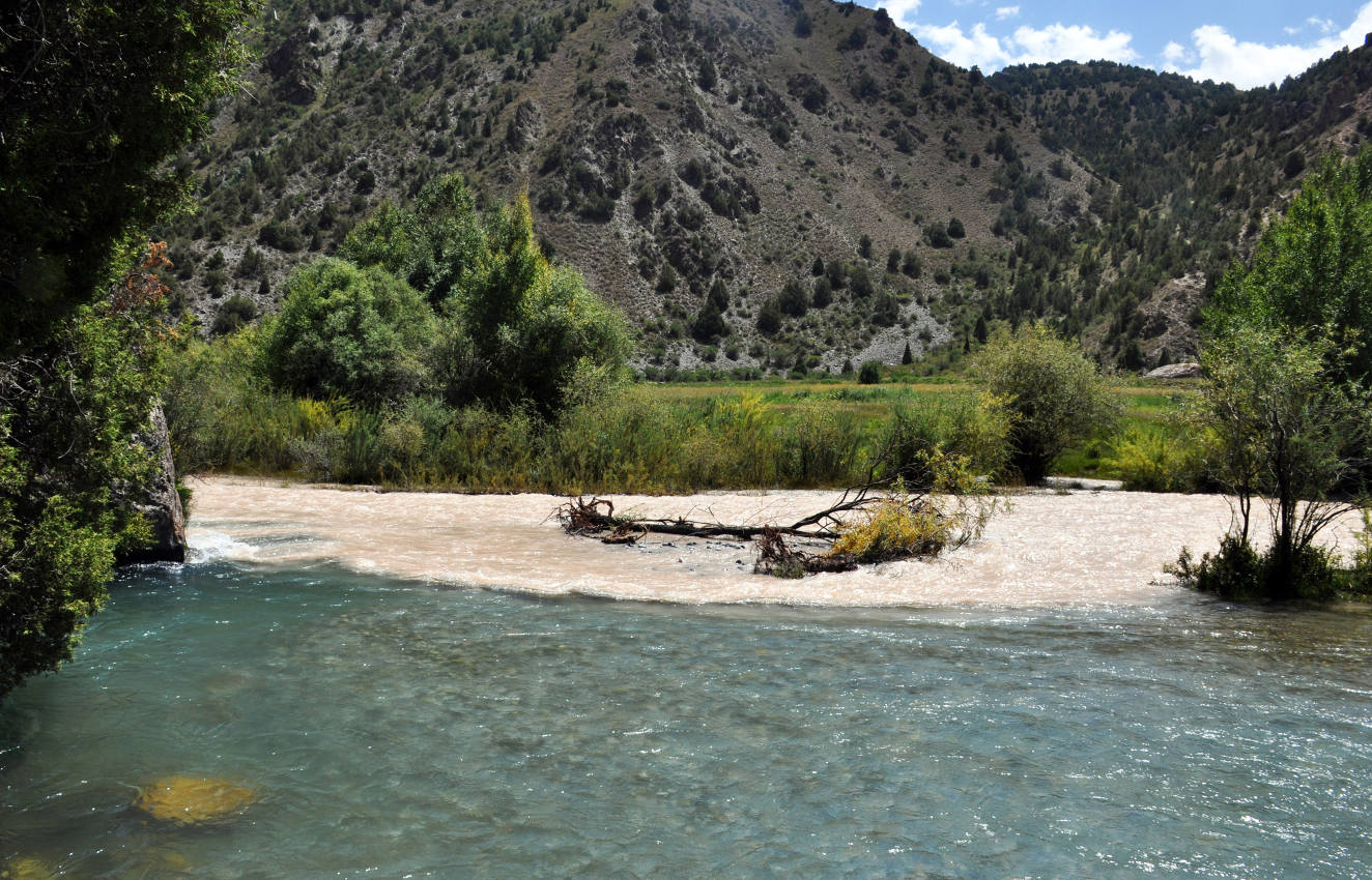 Долина реки Чапдара, image of landscape/habitat.