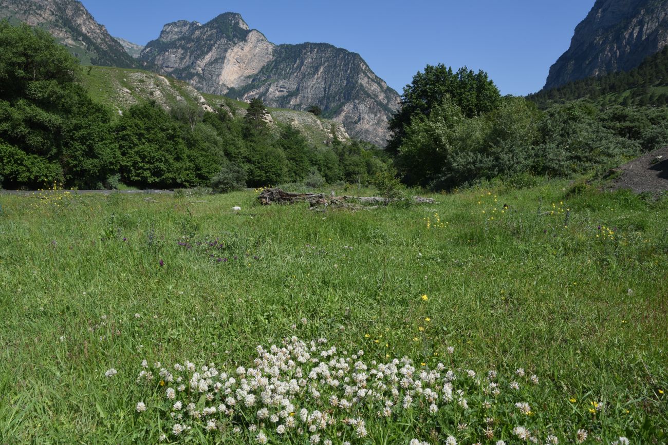 Окрестности урочища Таргим, image of landscape/habitat.