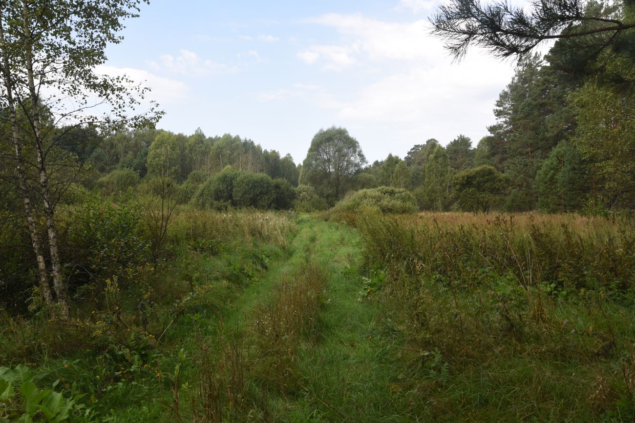 Урочище Дубенка, image of landscape/habitat.