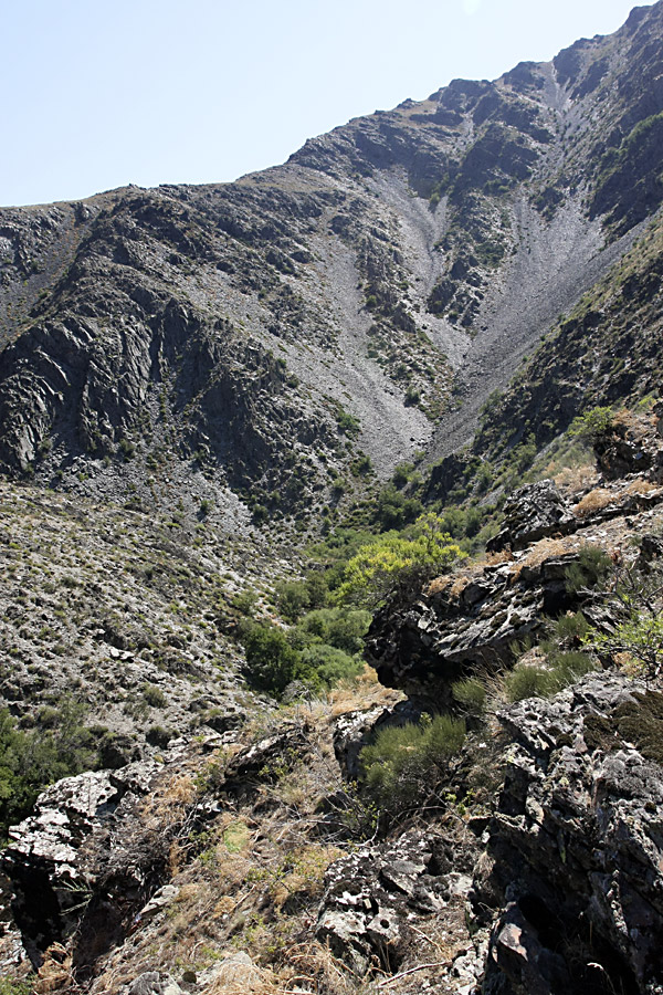 Ущелье Саясу, image of landscape/habitat.