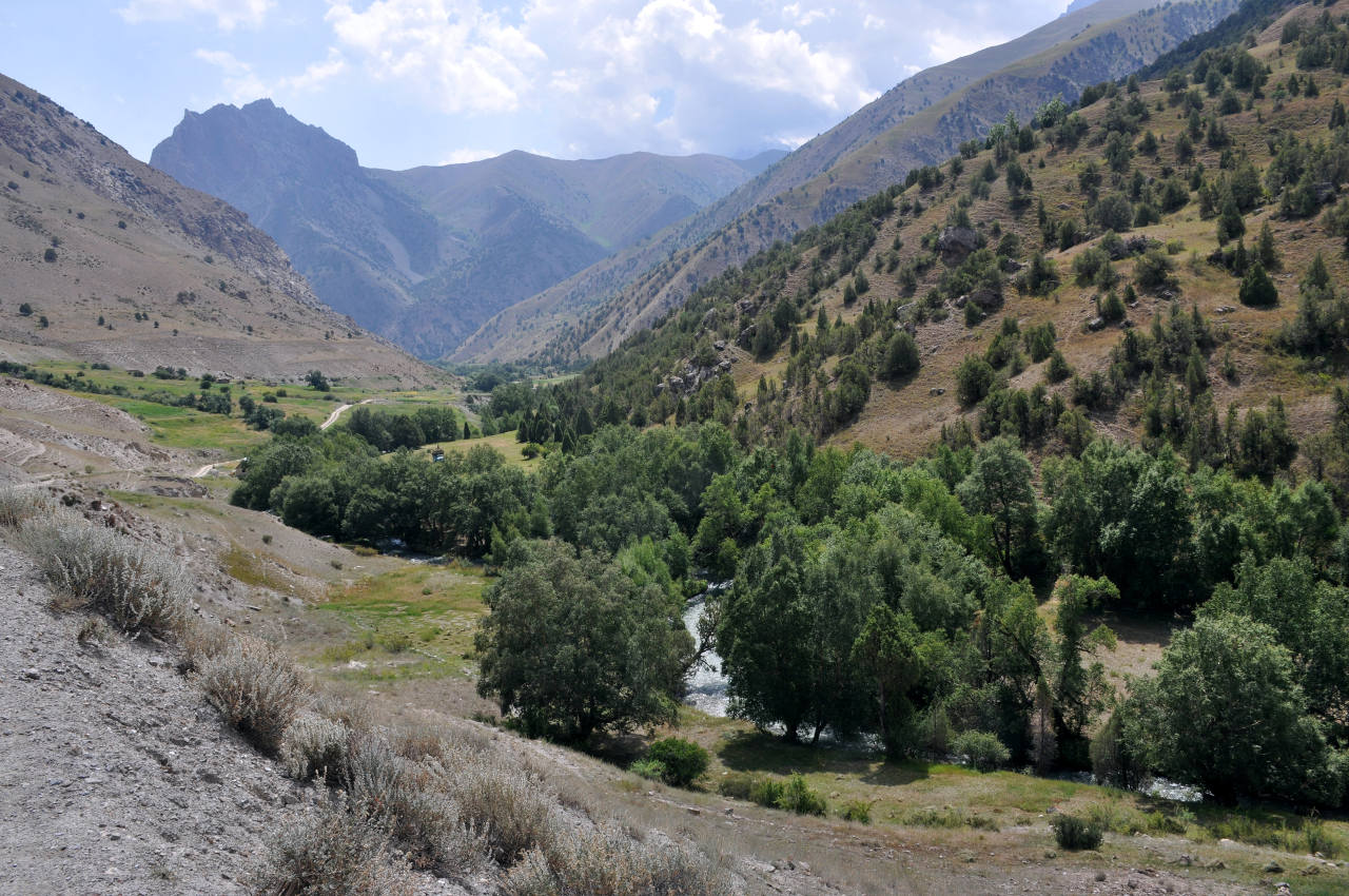 Долина реки Чапдара, image of landscape/habitat.