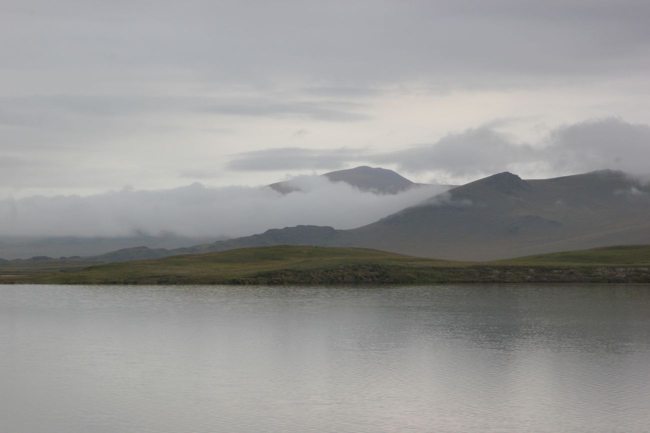 Окрестности Гусиного озера, image of landscape/habitat.