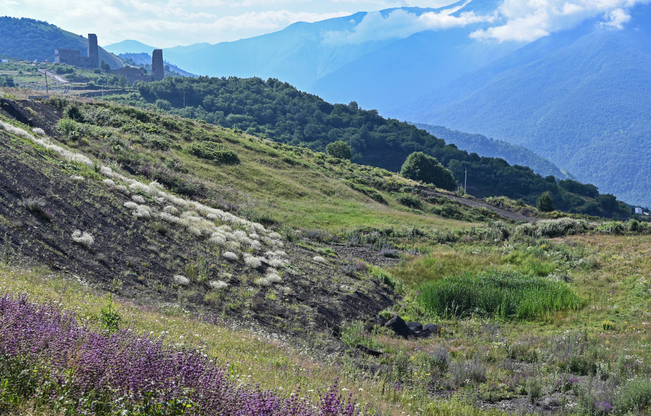 Ведучи, image of landscape/habitat.