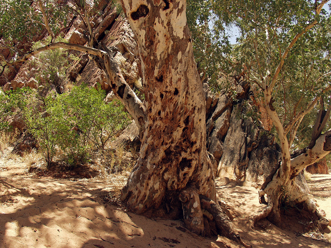 Emily and Jessie Gaps, image of landscape/habitat.