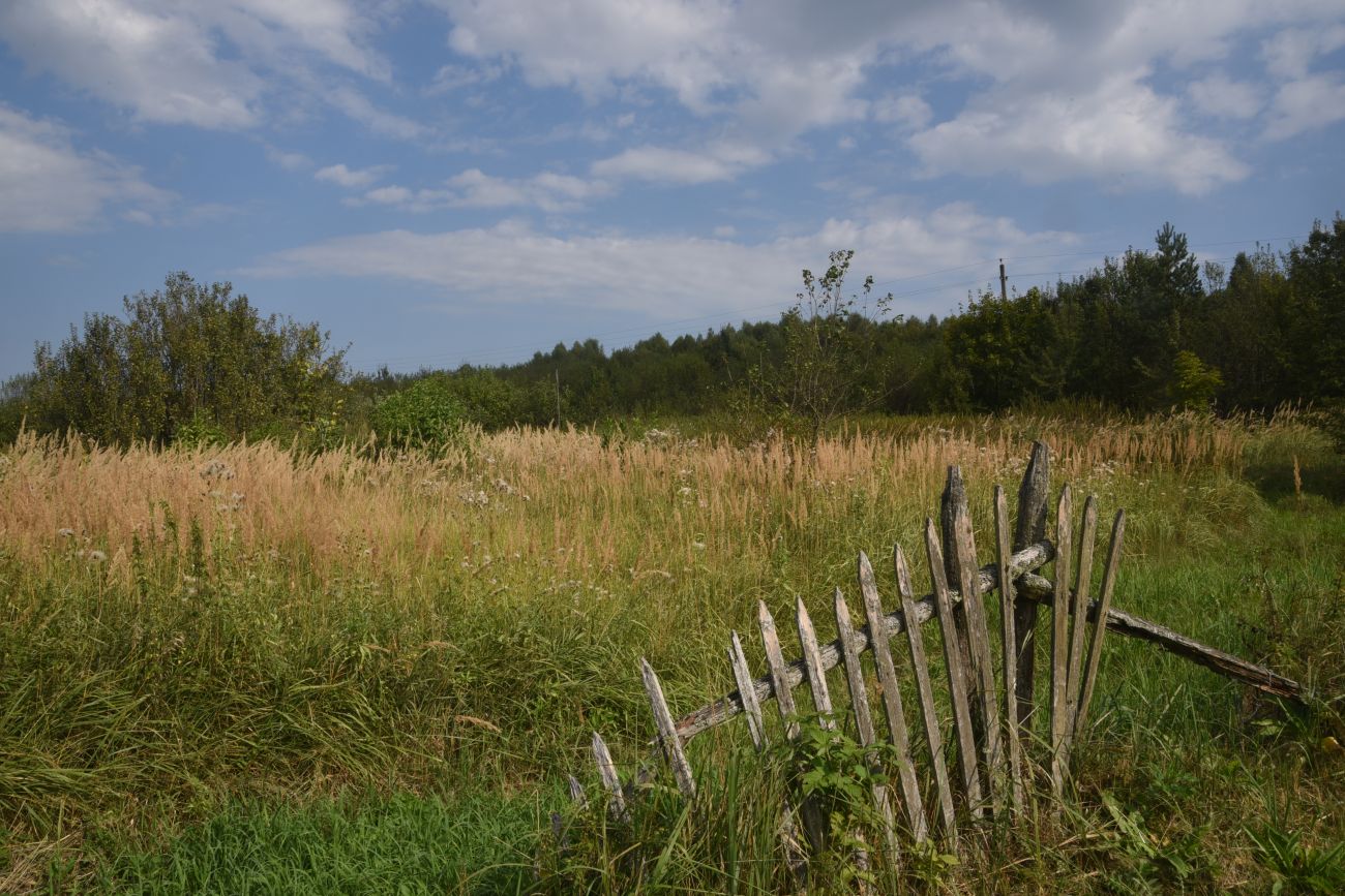 Ягодное, image of landscape/habitat.