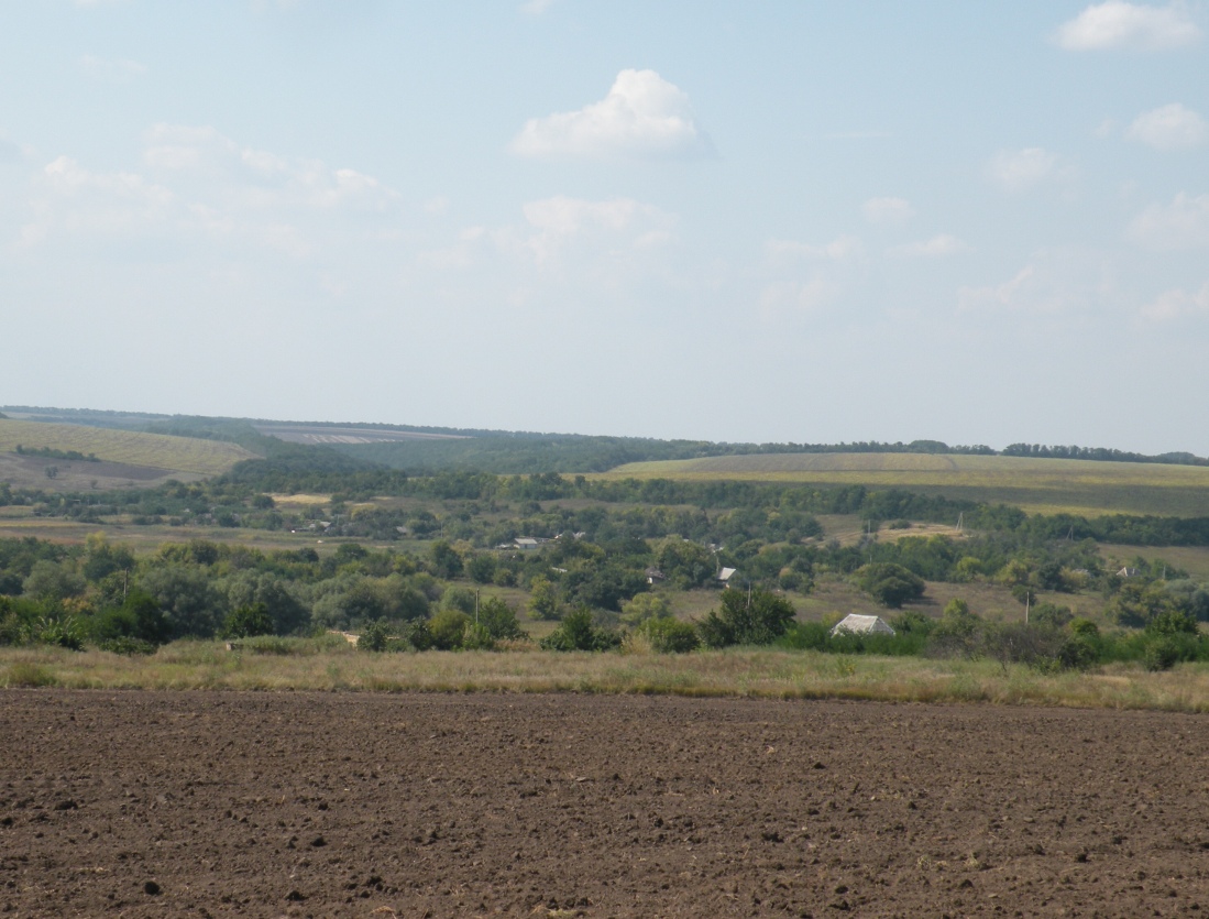 Балка Новогригоровская, image of landscape/habitat.