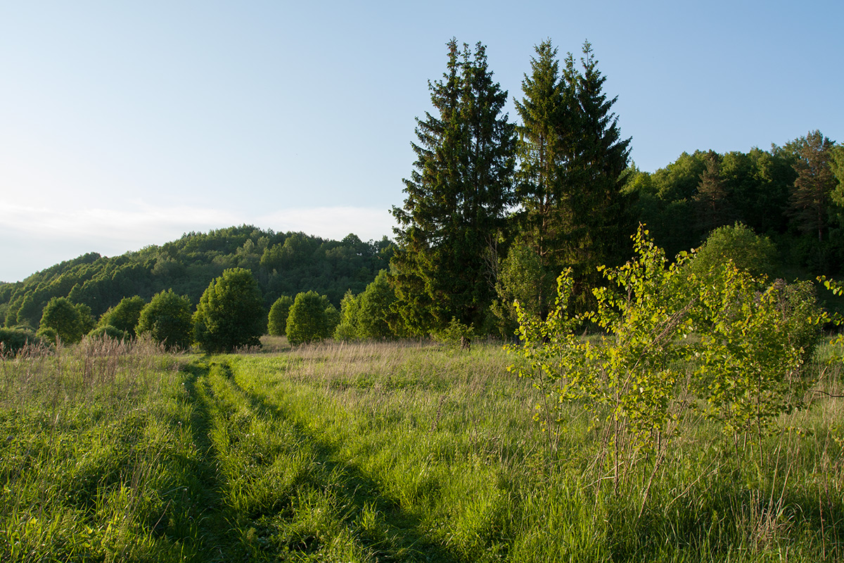 Изборско-Мальская долина, image of landscape/habitat.