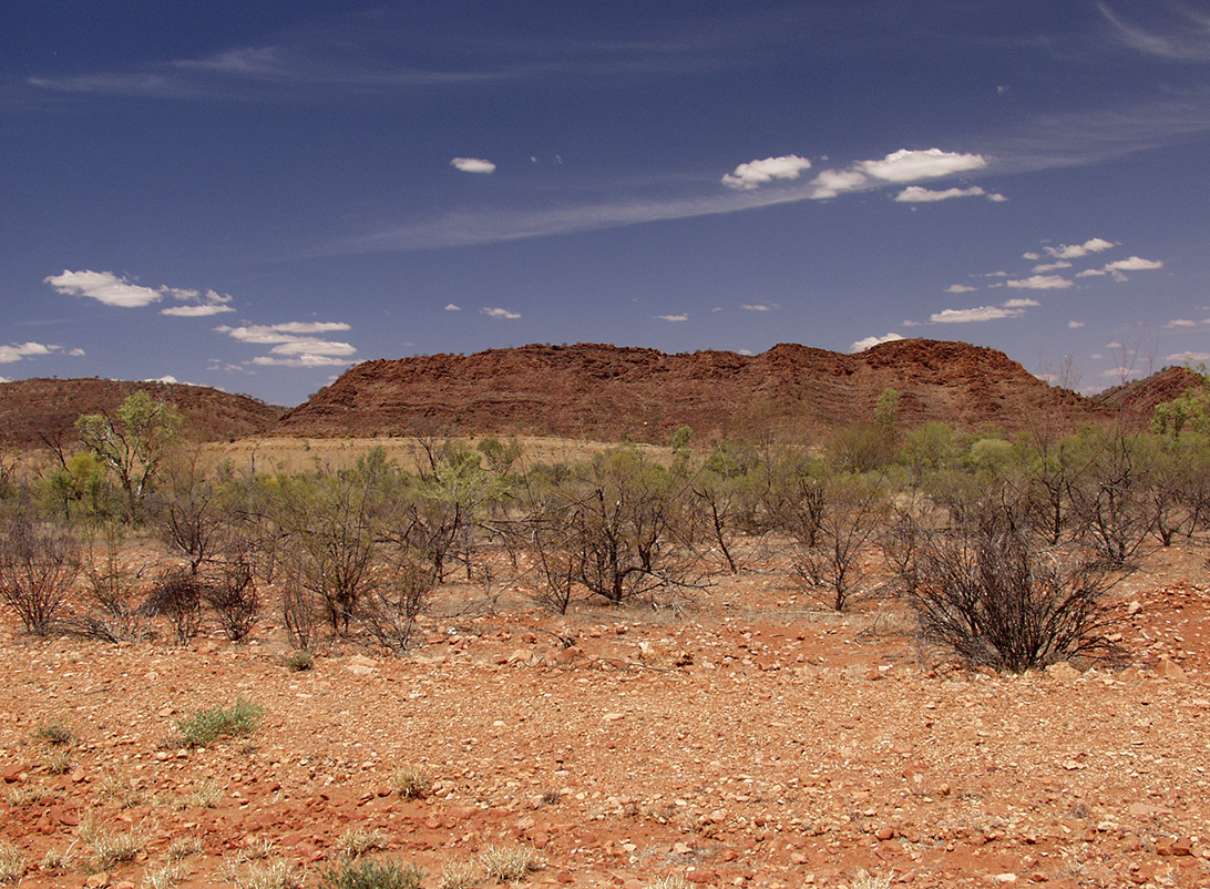 Alice Springs и окрестности, image of landscape/habitat.