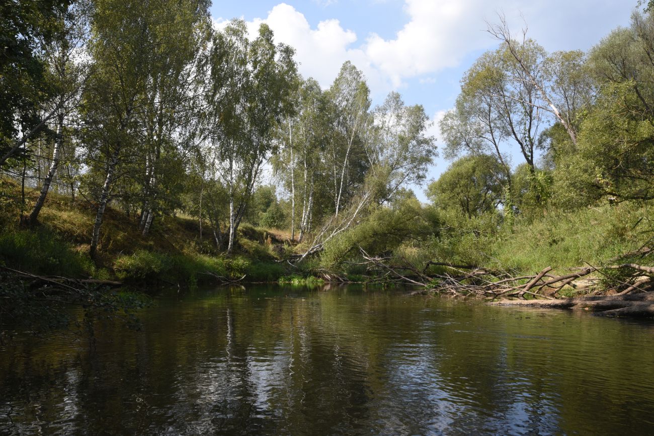 Ягодное, image of landscape/habitat.