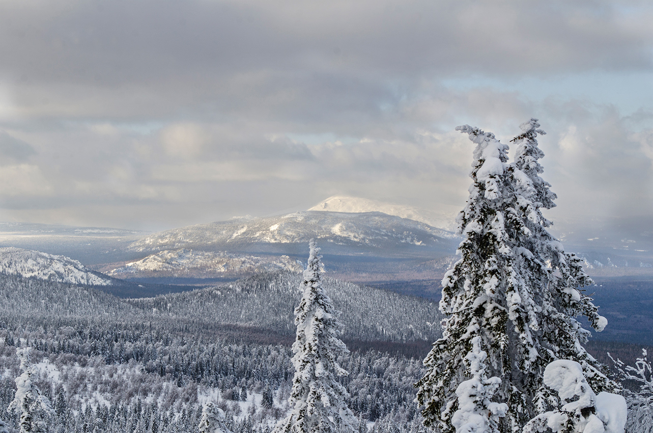 Окрестности хребта Ялангас, image of landscape/habitat.