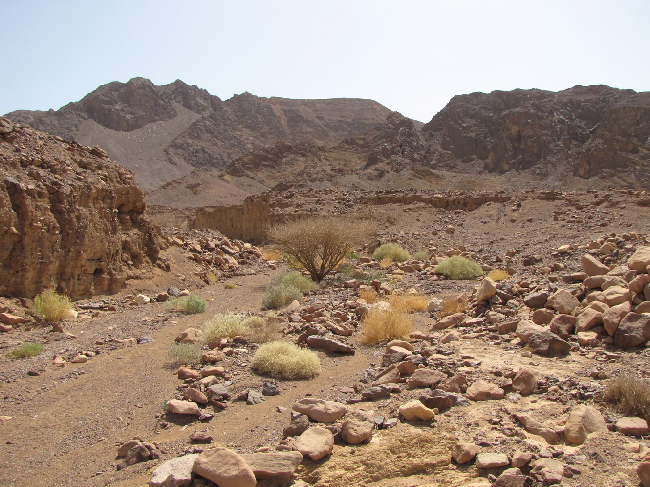 Эйлатские горы, image of landscape/habitat.