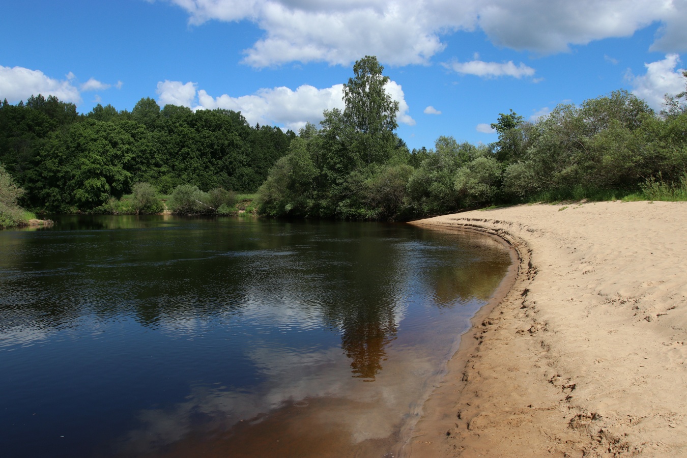 Луга у Кемки, image of landscape/habitat.