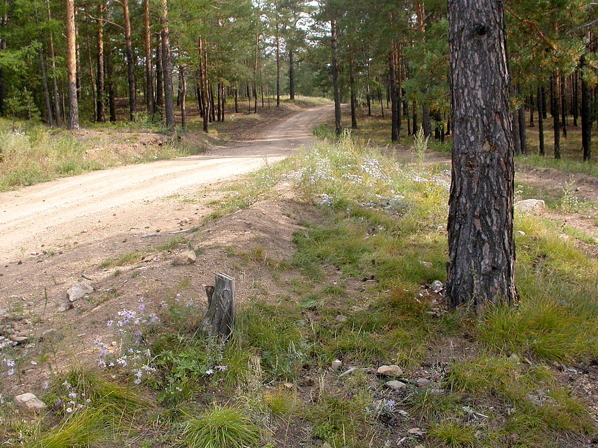 Окрестности Гурульбы, изображение ландшафта.