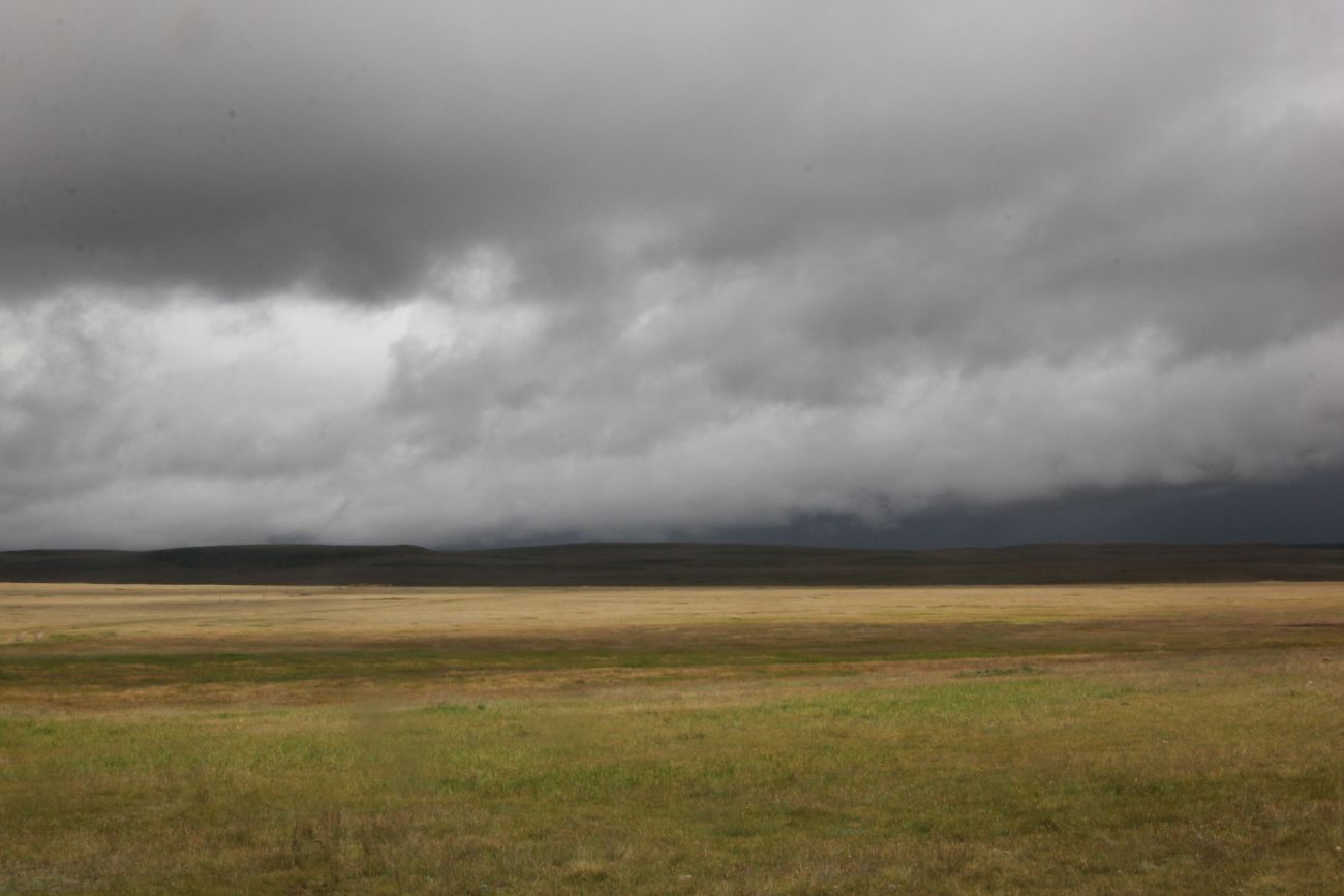 Окрестности Гусиного озера, image of landscape/habitat.