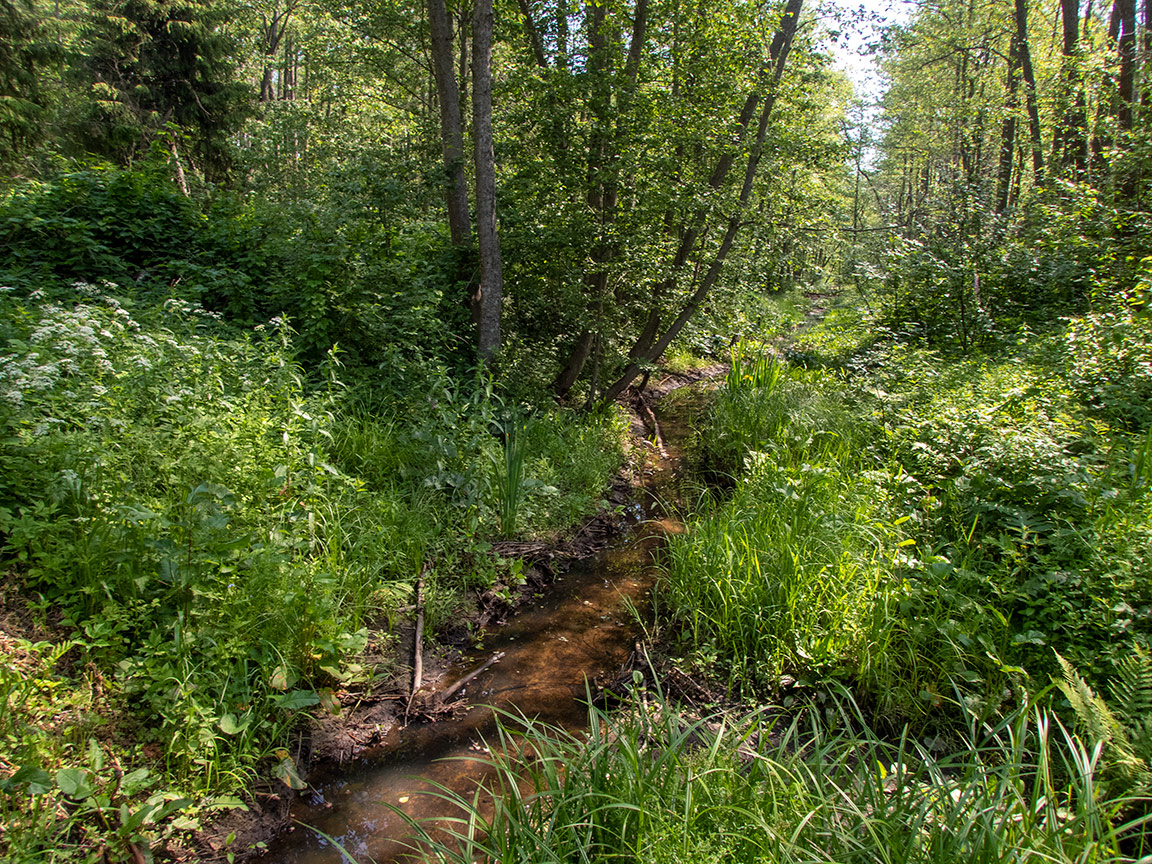 Карманово и окрестности, image of landscape/habitat.