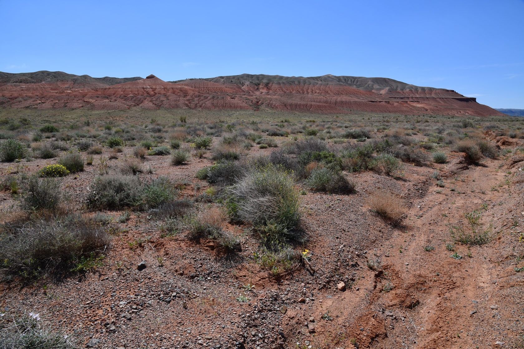 Горы Улькен-Богуты, image of landscape/habitat.