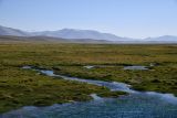 Аличурская долина, image of landscape/habitat.