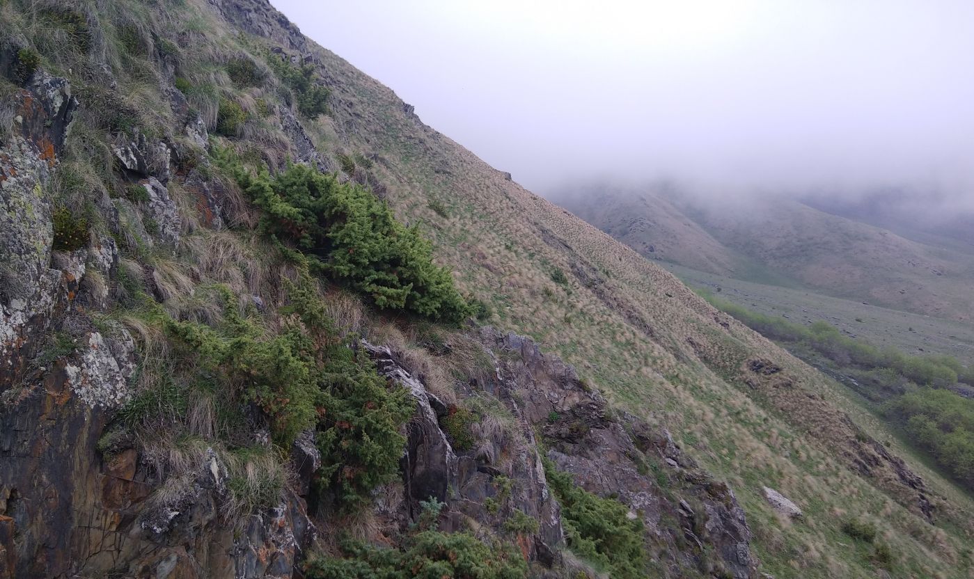 Западный склон горы Куро, изображение ландшафта.