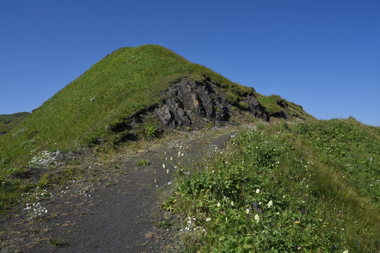 Окрестности горы Чархунышкорт, image of landscape/habitat.