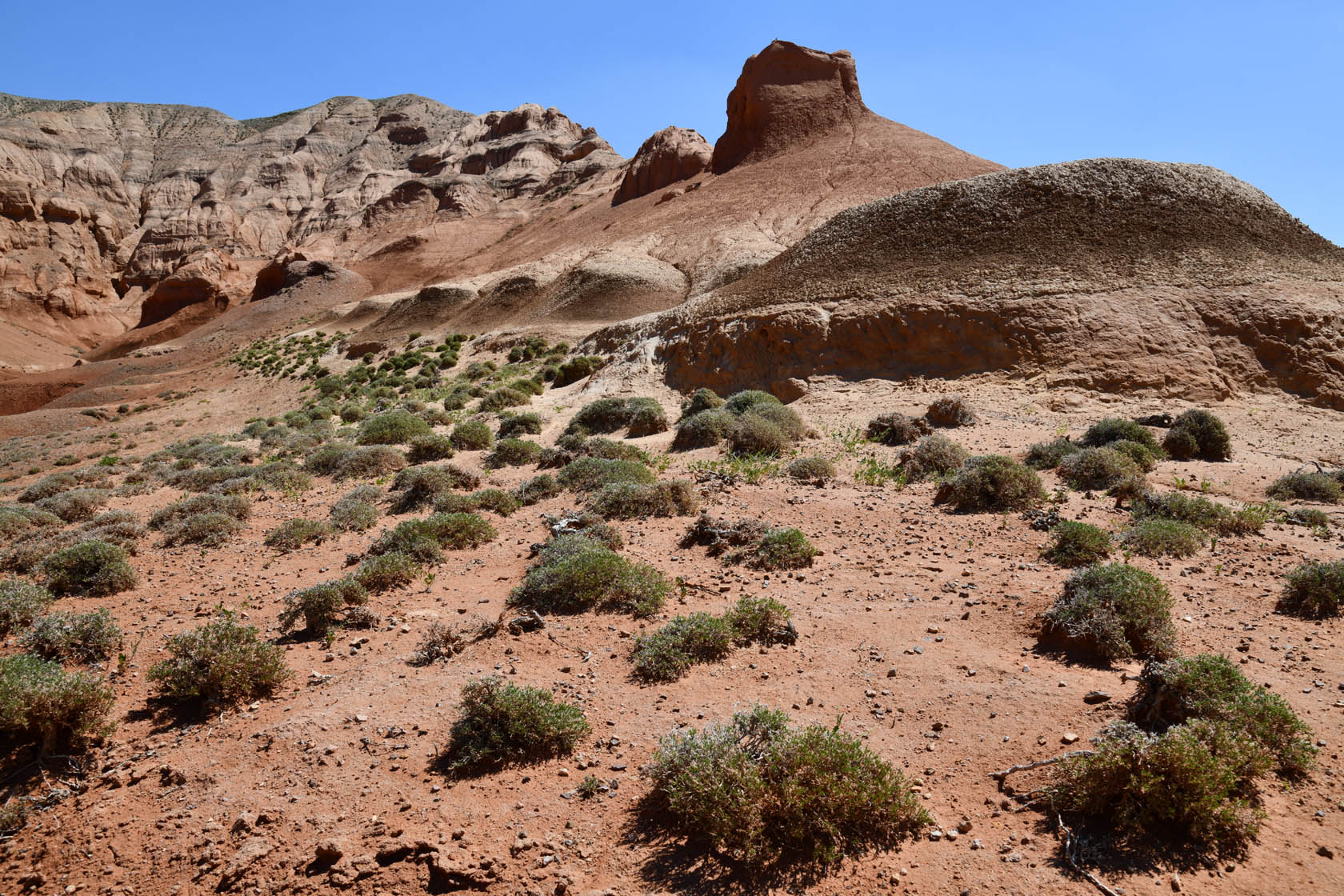 Горы Улькен-Богуты, image of landscape/habitat.