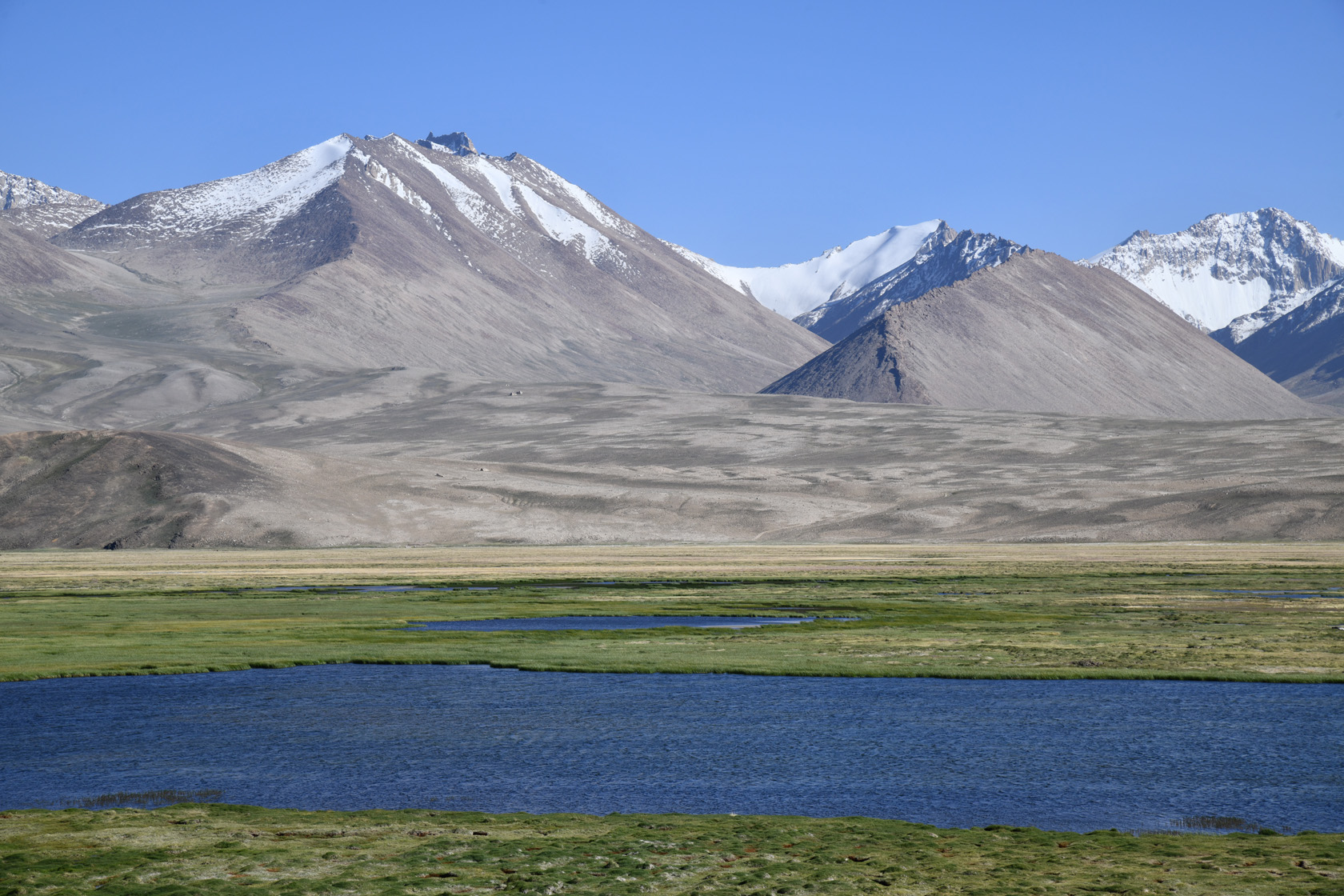 Аличурская долина, image of landscape/habitat.